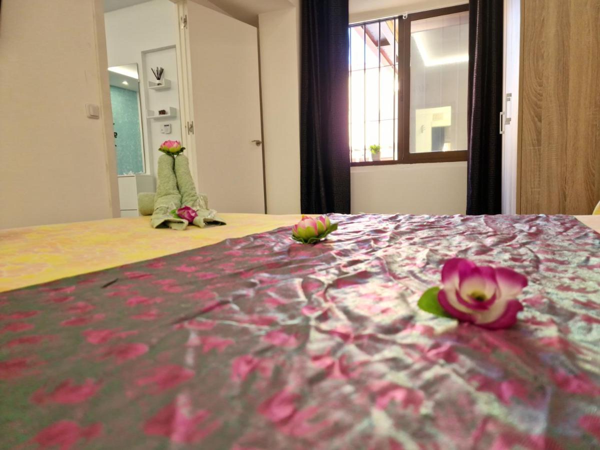 Daniel Beachfront, 2 Rooms Wifi Free 美洲海滩 外观 照片
